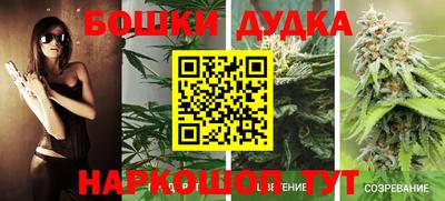 МДПВ Пушкино
