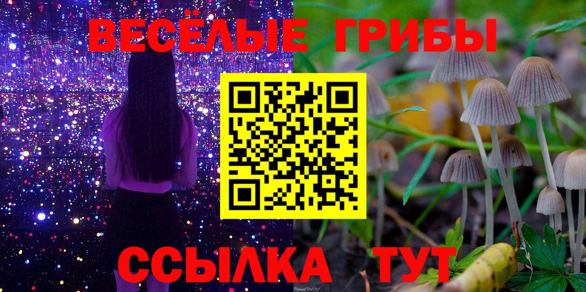 Галлюциногенные грибы ЛСД  Вход с VPN  Галлюциногенные грибы Psilocybine cubensis  Сорочинск 