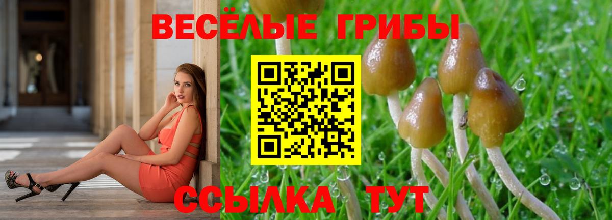 Псилоцибиновые грибы ЛСД Сорочинск